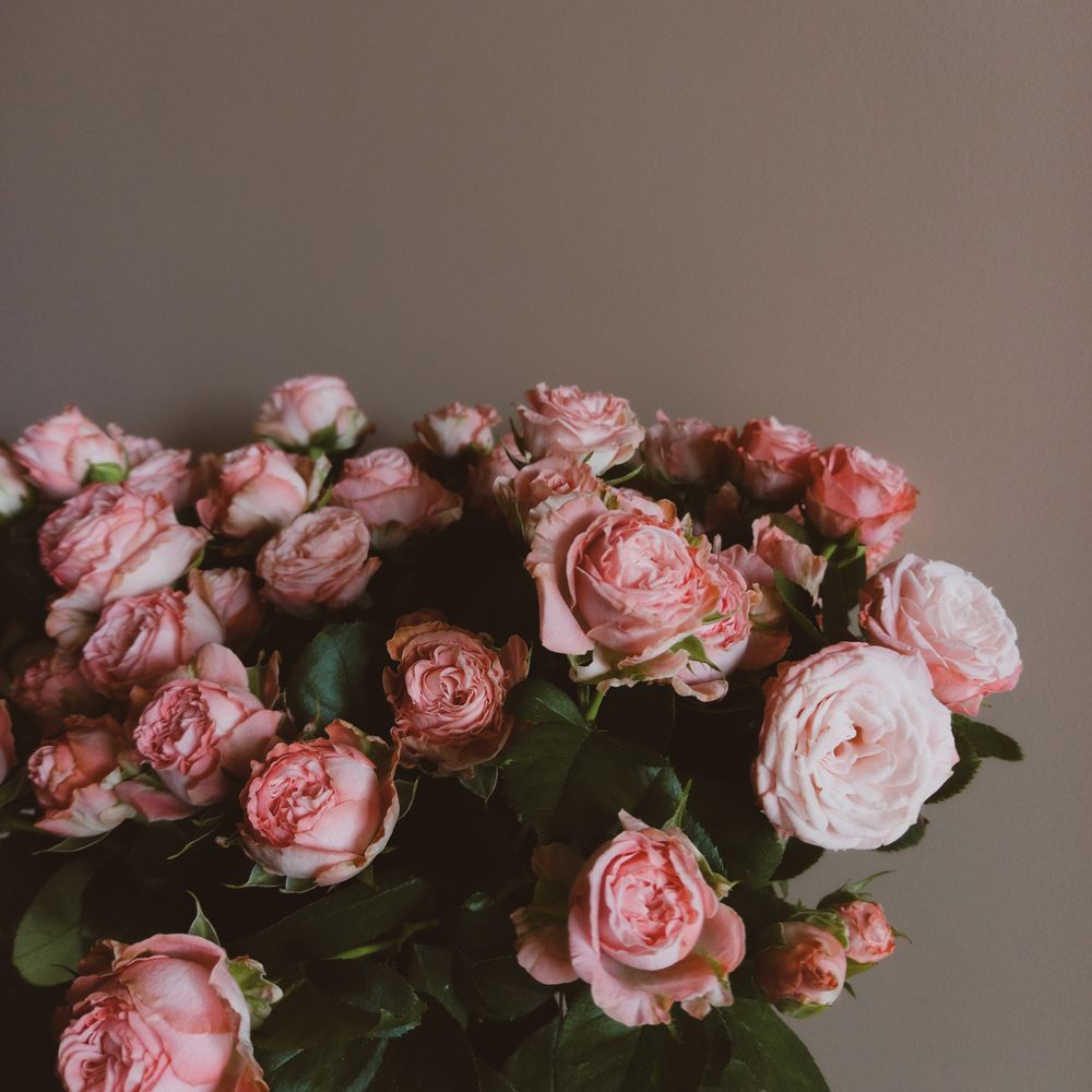 Encanto Rosé