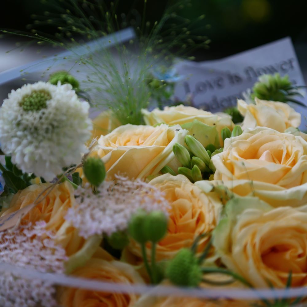 Inspiração Jardim Dourado